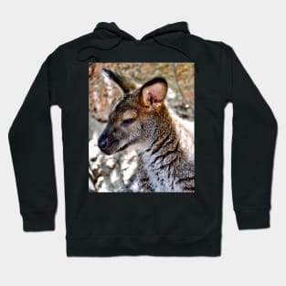 Wallaby Hoodie